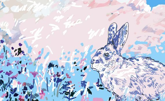 trans_yhteisc3b6teoksen_artikkelikuva_n-570x350-3936318
